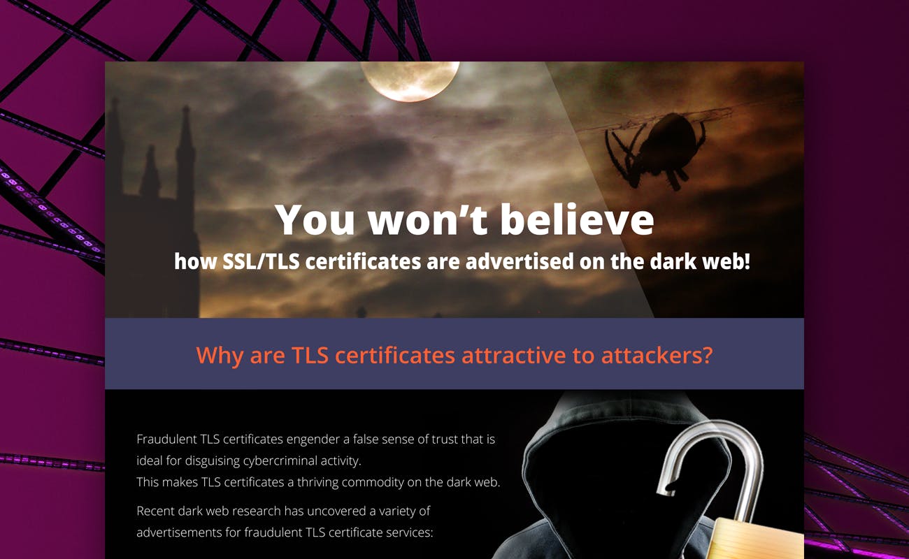 Infographic: SSL/TLS Certificates on the Dark Web - cover graphic