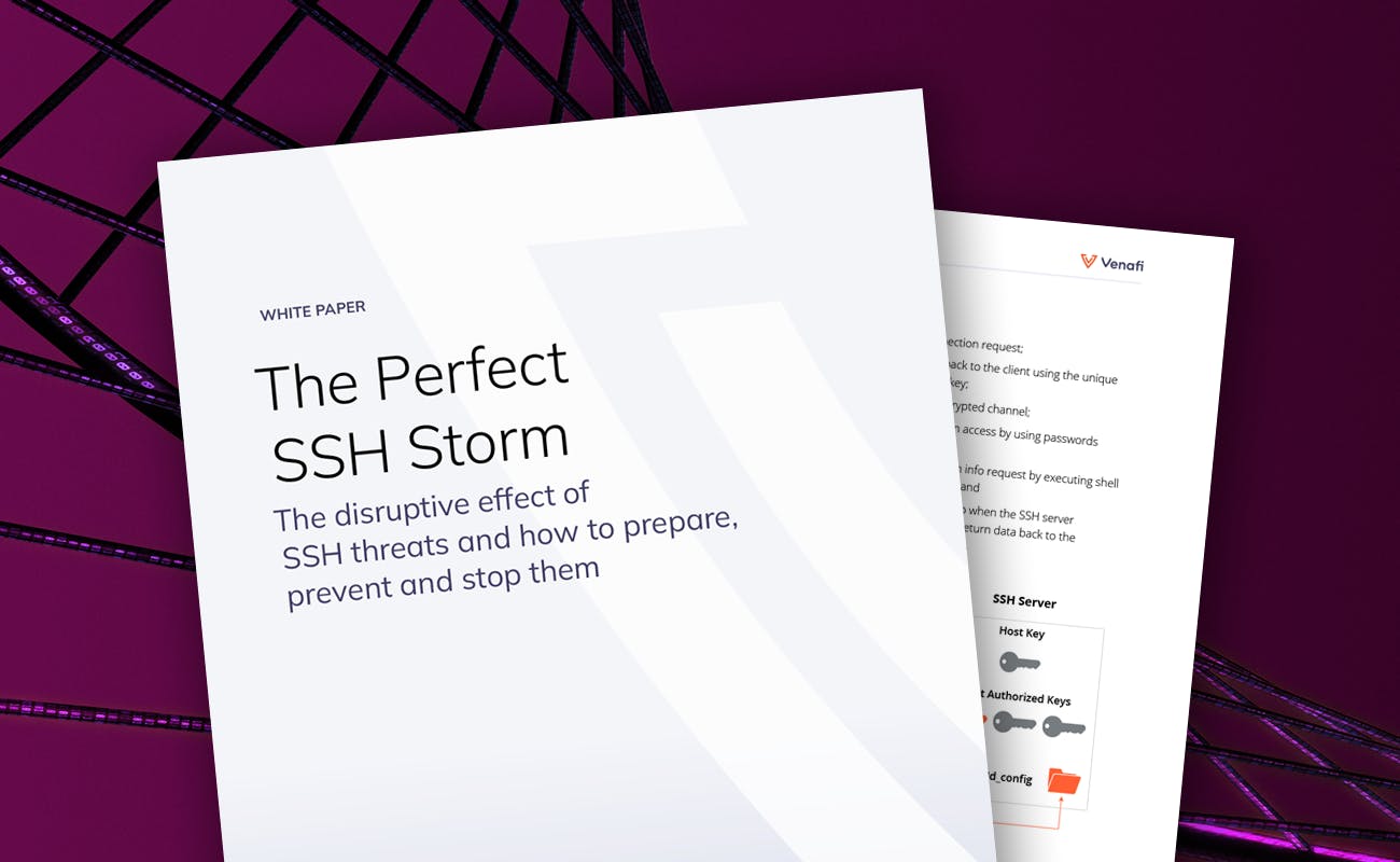 The Perfect SSH Storm - cover graphic